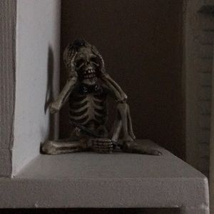 Meet your Posher, Shellbell